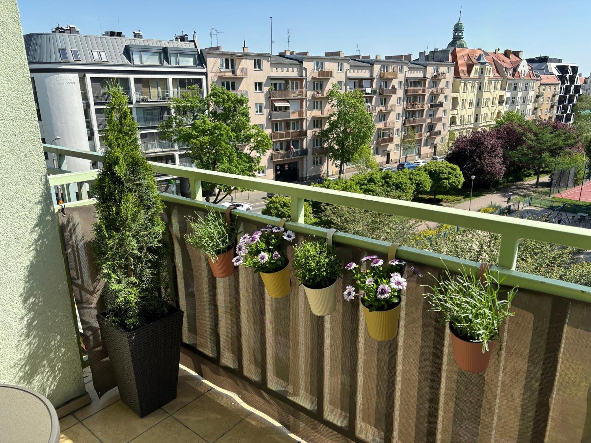 Apartament Wilda بوزنان المظهر الخارجي الصورة